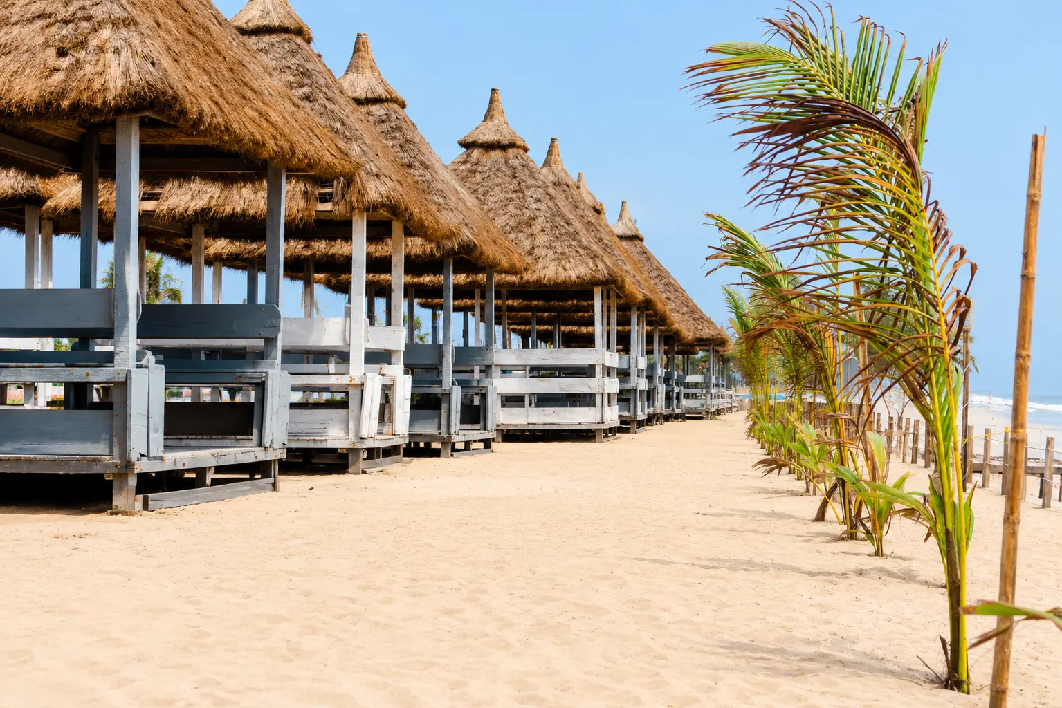 Row of thatched beach cabanas on the sand beside young palms